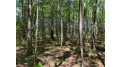 Lot 1 Somo Ridge Dr Tomahawk, WI 54487 by Lakeplace.com - Vacationland Properties $43,400