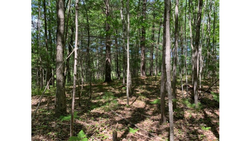 Lot 1 Somo Ridge Dr Tomahawk, WI 54487 by Lakeplace.com - Vacationland Properties $43,400