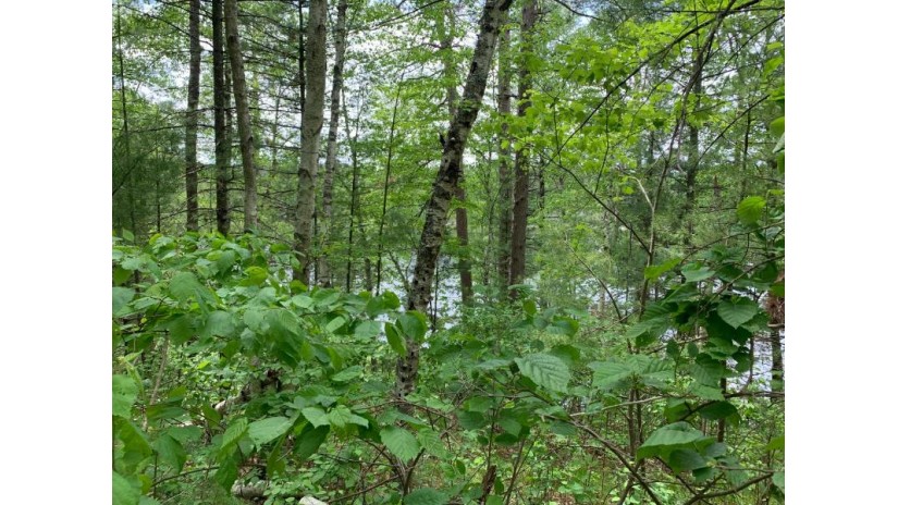 Lot 6 Somo Ridge Dr Tomahawk, WI 54487 by Lakeplace.com - Vacationland Properties $54,300