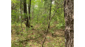 Lot 6 Somo Ridge Dr Tomahawk, WI 54487 by Lakeplace.com - Vacationland Properties $54,300