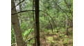 Lot 6 Somo Ridge Dr Tomahawk, WI 54487 by Lakeplace.com - Vacationland Properties $54,300