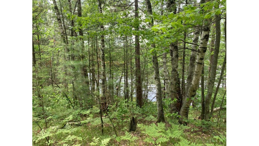 Lot 7 Somo Dam Dr Tomahawk, WI 54487 by Lakeplace.com - Vacationland Properties $53,700