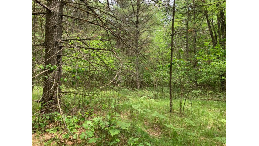 Lot 7 Somo Dam Dr Tomahawk, WI 54487 by Lakeplace.com - Vacationland Properties $53,700