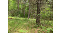 Lot 7 Somo Dam Dr Tomahawk, WI 54487 by Lakeplace.com - Vacationland Properties $53,700