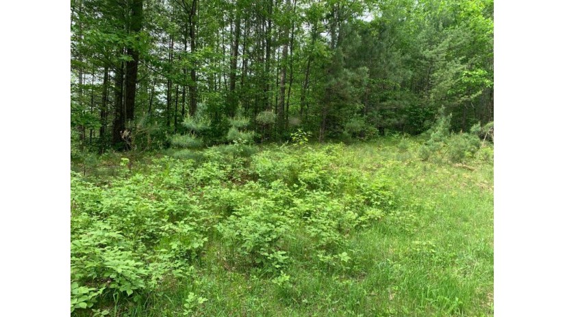 Lot 9 Somo Dam Dr Tomahawk, WI 54487 by Lakeplace.com - Vacationland Properties $43,400