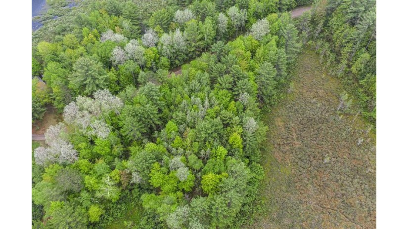 Lot 21 Whitetailed Deer Dr Tomahawk, WI 54487 by Lakeplace.com - Vacationland Properties $39,150