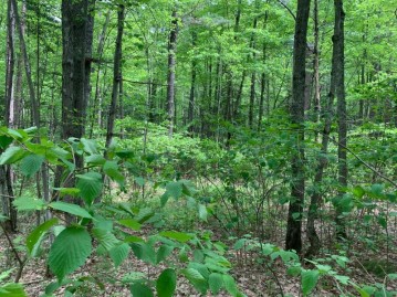 Lot 31 Whitetailed Deer Dr, Wilson, WI 54487