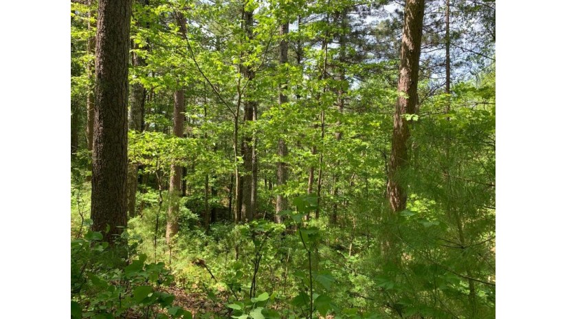 Lot 43 Norway Pine Tr Tomahawk, WI 54487 by Lakeplace.com - Vacationland Properties $43,400