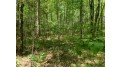 Lot 43 Norway Pine Tr Tomahawk, WI 54487 by Lakeplace.com - Vacationland Properties $43,400