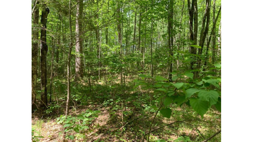 Lot 43 Norway Pine Tr Tomahawk, WI 54487 by Lakeplace.com - Vacationland Properties $43,400