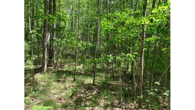 Lot 43 Norway Pine Tr Tomahawk, WI 54487 by Lakeplace.com - Vacationland Properties $43,400