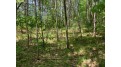 Lot 43 Norway Pine Tr Tomahawk, WI 54487 by Lakeplace.com - Vacationland Properties $43,400