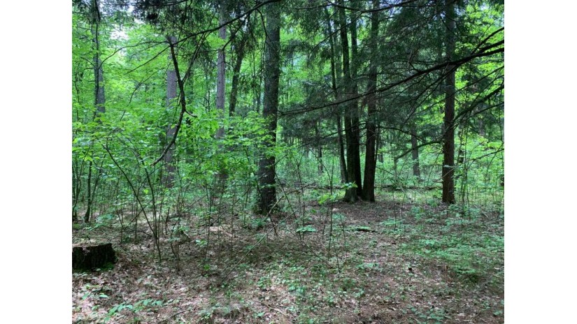 Lot 43 Norway Pine Tr Tomahawk, WI 54487 by Lakeplace.com - Vacationland Properties $43,400