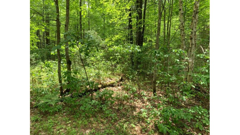 Lot 43 Norway Pine Tr Tomahawk, WI 54487 by Lakeplace.com - Vacationland Properties $43,400
