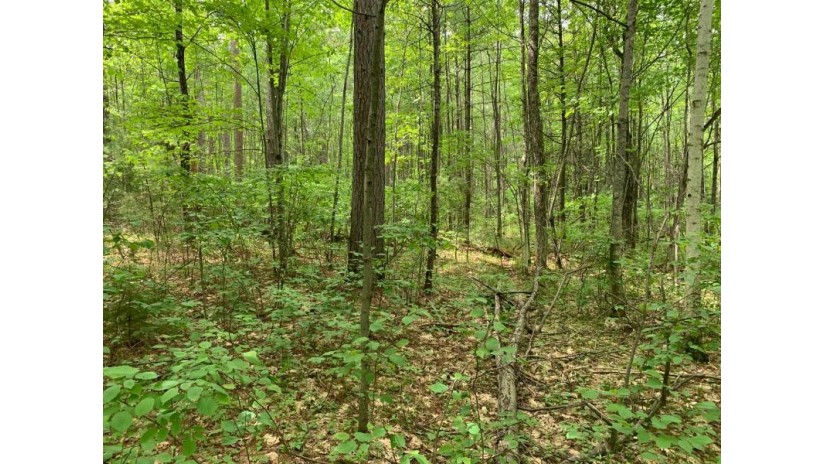 Lot 43 Norway Pine Tr Tomahawk, WI 54487 by Lakeplace.com - Vacationland Properties $43,400