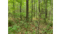 Lot 44 Norway Pine Tr Tomahawk, WI 54487 by Lakeplace.com - Vacationland Properties $48,800