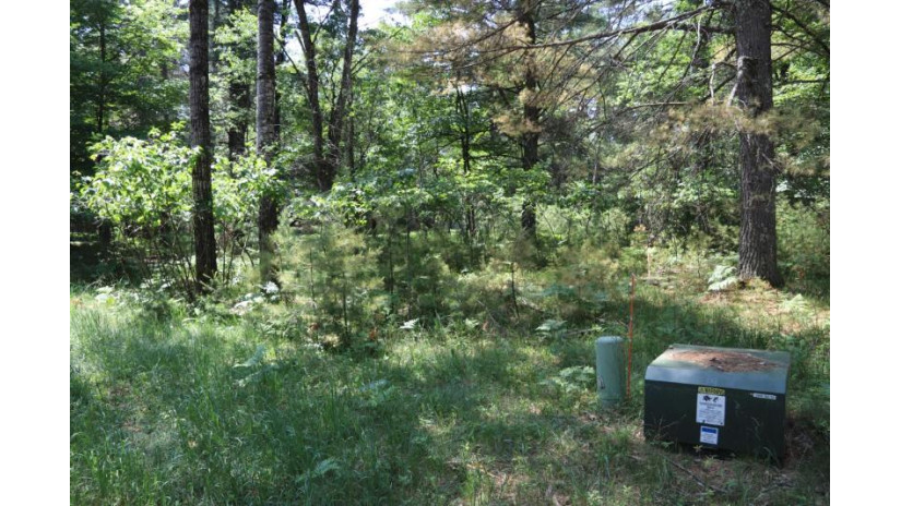 Lot 185 Timber Ln Minocqua, WI 54548 by Steve Petersen Realty $35,000