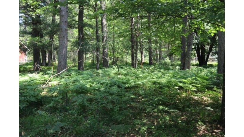 Lot 185 Timber Ln Minocqua, WI 54548 by Steve Petersen Realty $35,000