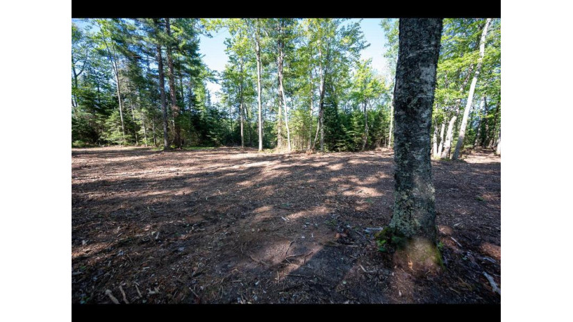 163-165 Clearwater Lake Tr Eagle River, WI 54521 by Gold Bar Realty $1,000,000