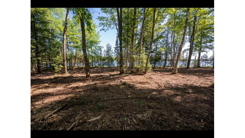 163-165 Clearwater Lake Tr Eagle River, WI 54521 by Gold Bar Realty $1,000,000