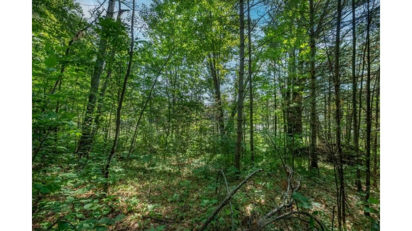 On Katies Ln Lot 12 Minocqua, WI 54548 by Re/Max Property Pros $26,900