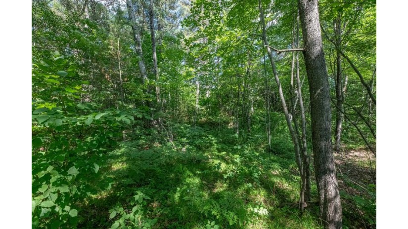 On Katies Ln Lot 12 Minocqua, WI 54548 by Re/Max Property Pros $26,900