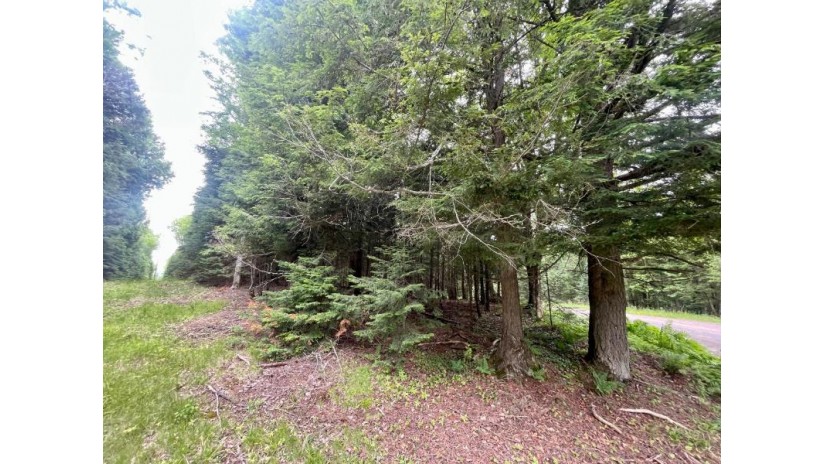 Lot 4 Stateline Lake Rd Marenisco, MI 49947 by Headwaters Real Estate $24,500