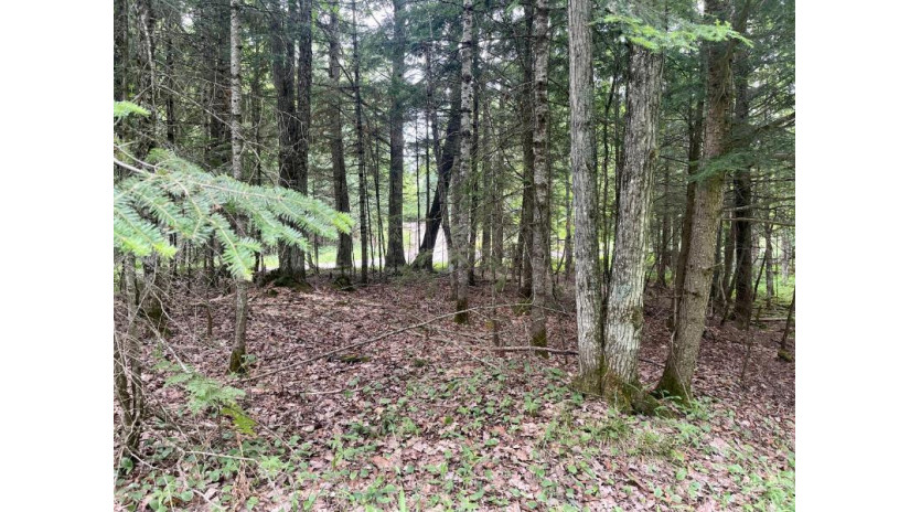 Lot 4 Stateline Lake Rd Marenisco, MI 49947 by Headwaters Real Estate $24,500