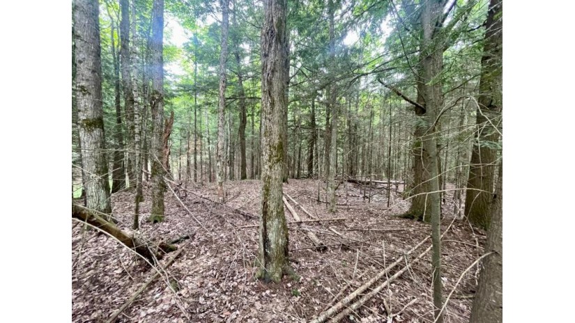 Lot 4 Stateline Lake Rd Marenisco, MI 49947 by Headwaters Real Estate $24,500