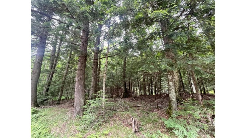 Lot 4 Stateline Lake Rd Marenisco, MI 49947 by Headwaters Real Estate $24,500