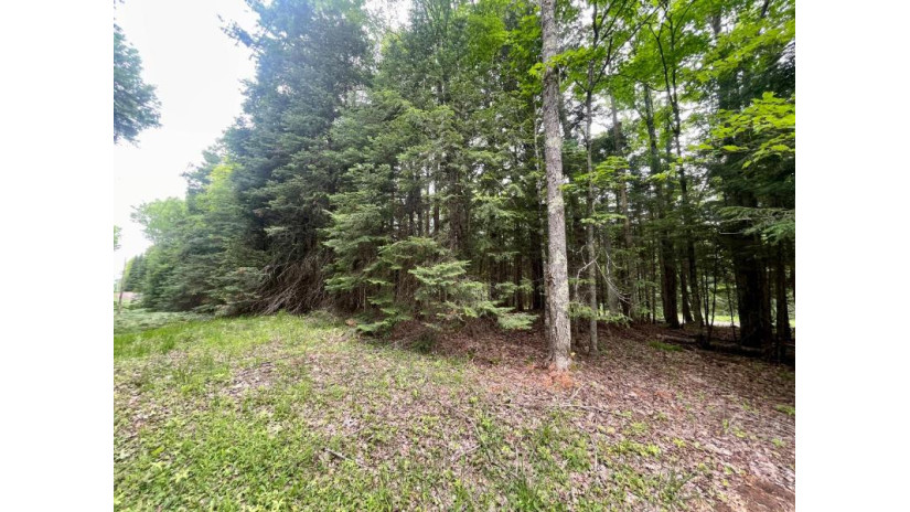 Lot 4 Stateline Lake Rd Marenisco, MI 49947 by Headwaters Real Estate $24,500