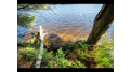 157-159 Clearwater Lake Tr Eagle River, WI 54521 by Gold Bar Realty $1,200,000