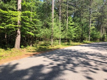 Lot 50 Whitetailed Deer Dr, Wilson, WI 54568