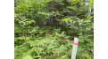 Tbd River Rd N Park Falls, WI 54552 by First Weber - Bessemer $29,500