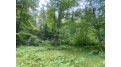 Tbd River Rd N Park Falls, WI 54552 by First Weber - Bessemer $29,500