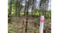 Tbd River Rd N Park Falls, WI 54552 by First Weber - Bessemer $29,500