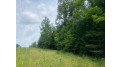 Tbd River Rd N Park Falls, WI 54552 by First Weber - Bessemer $29,500