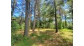 2 Lots Cth J Minocqua, WI 54548 by Redman Realty Group, Llc $149,900