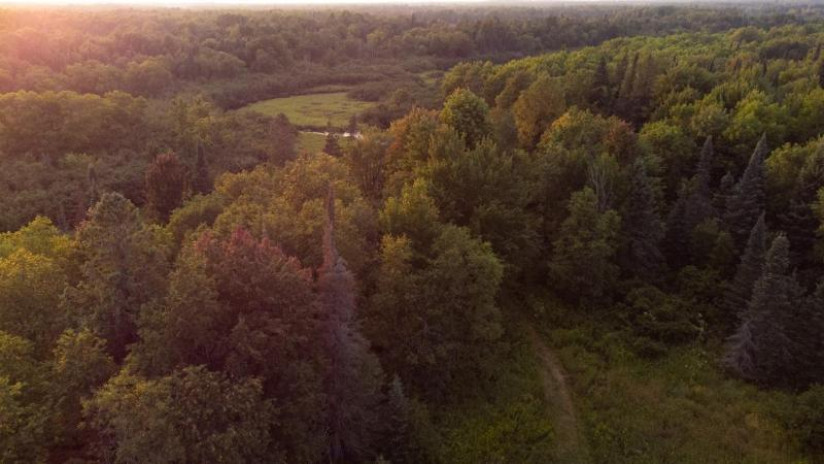 Off Hay Creek Rd Prentice, WI 54556 by Landguys, Llc Of Wisconsin $384,900