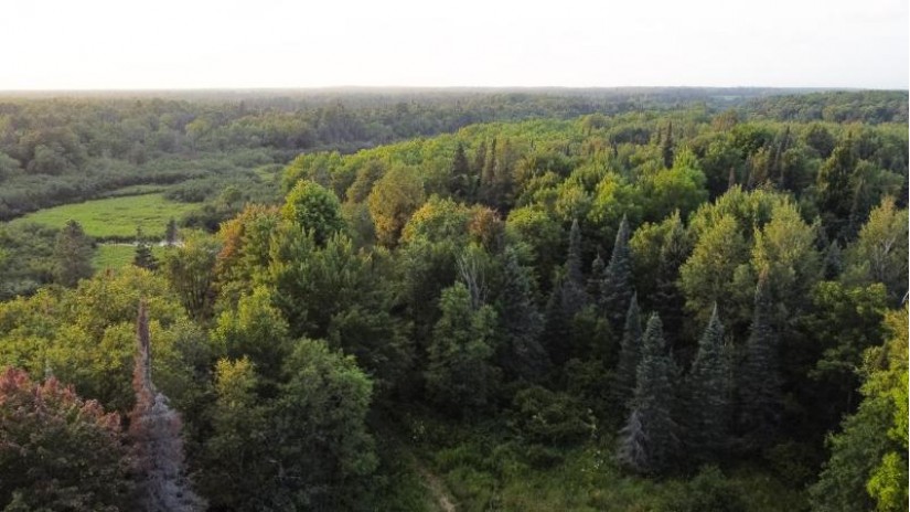 Off Hay Creek Rd Prentice, WI 54556 by Landguys, Llc Of Wisconsin $384,900