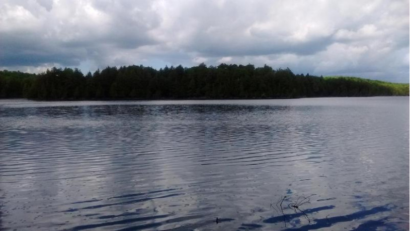 Lot 1 Gaylord Lake Rd Marenisco, MI 49947 by Re/Max Property Pros $99,000