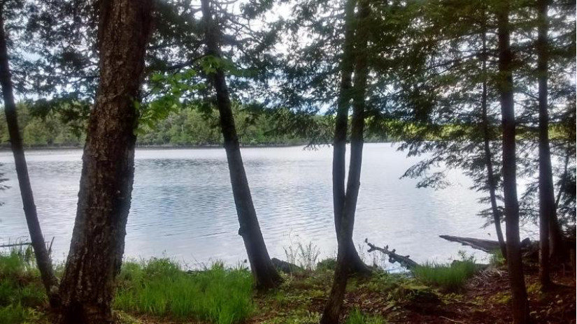 Lot 1 Gaylord Lake Rd Marenisco, MI 49947 by Re/Max Property Pros $99,000