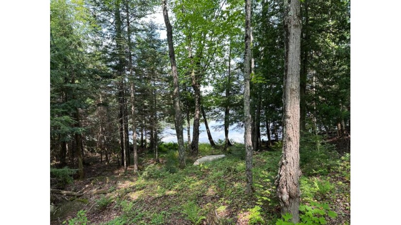 Lot 1 Gaylord Lake Rd Marenisco, MI 49947 by Re/Max Property Pros $99,000