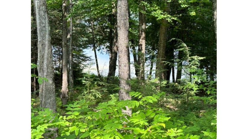 Lot 1 Gaylord Lake Rd Marenisco, MI 49947 by Re/Max Property Pros $99,000