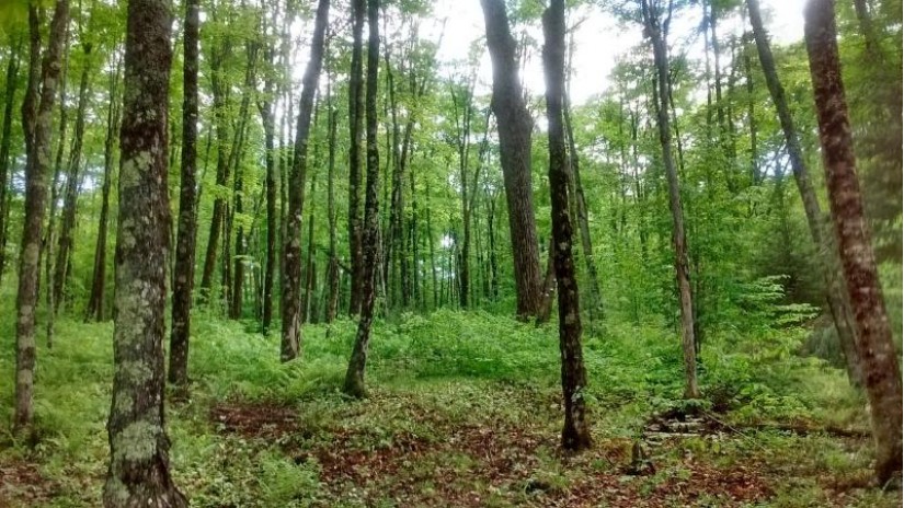 Lot 1 Gaylord Lake Rd Marenisco, MI 49947 by Re/Max Property Pros $99,000