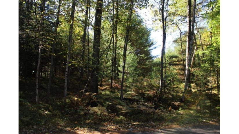 On Trailwood Dr Lot 55 Minocqua, WI 54548 by Re/Max Property Pros $37,500