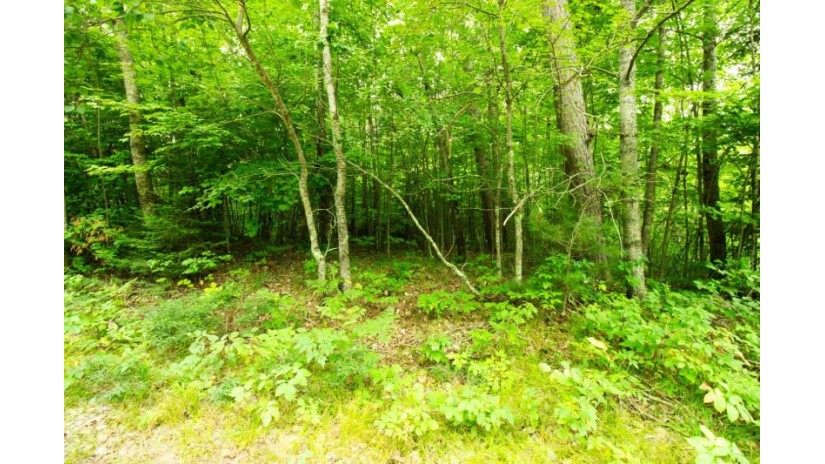 Lot 76 Groh Ln Riverview, WI 54149 by Realty One Group Haven $20,000