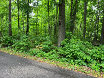 Lot 7 Mill Rd, Summit, WI 54485