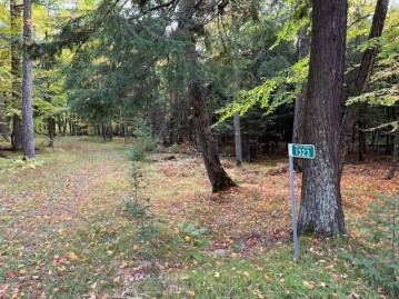 1323 Deer Path, Phelps, WI 54554