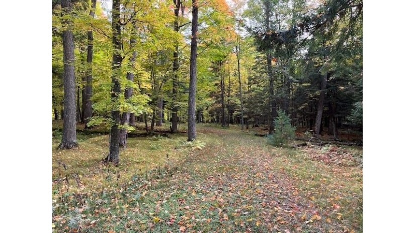 1323 Deer Path Phelps, WI 54554 by Eliason Realty - Land O Lakes $139,000